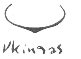 VKINGAS logo