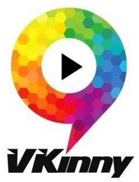VKINNY logo
