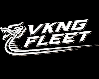 VKNG FLEET logo
