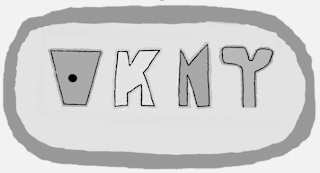 VKNY logo