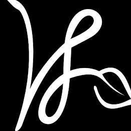 VL logo