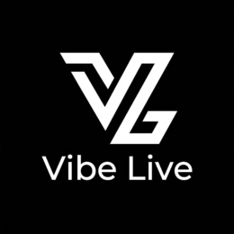 VL VIBE LIVE logo