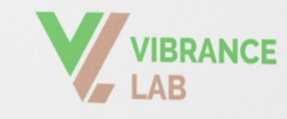 VL VIBRANCE LAB logo