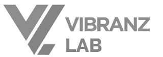 VL VIBRANZ LAB logo