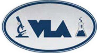 VLA logo