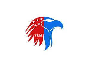 VLM logo