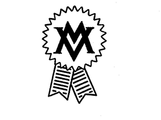 VM logo