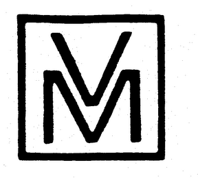 VM logo