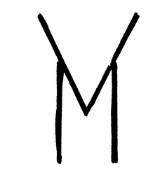 VM logo