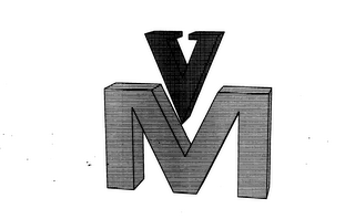 VM logo