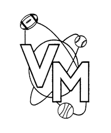 VM logo