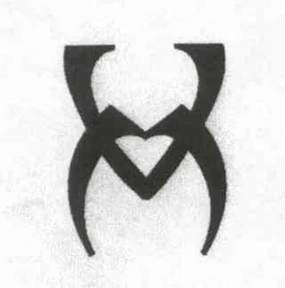 VM logo