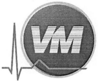 VM logo