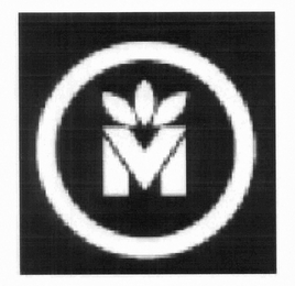 VM logo