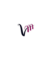 VM logo