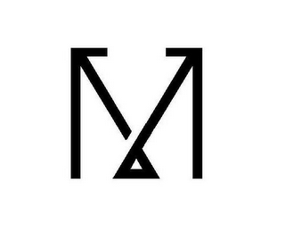 VM logo