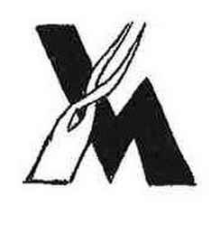 VM logo