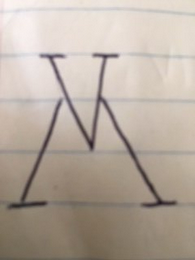 VM logo