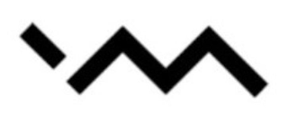 VM logo