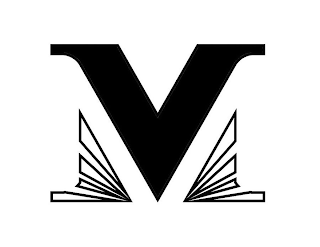 VM logo