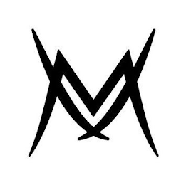 VM logo