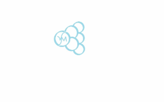 VM logo