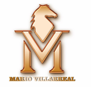 VM MARIO VILLARREAL logo