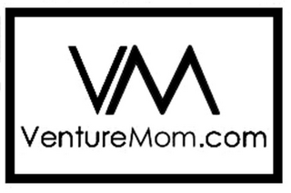 VM VENTUREMOM.COM logo