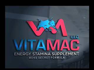 VM VITAMAC LLC ENERGY STAMINA SUPPLEMENT MENS SECRET FORMULA logo
