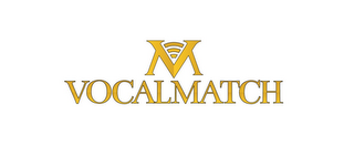 VM VOCALMATCH logo
