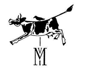 VMI logo