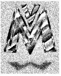 VMNW logo