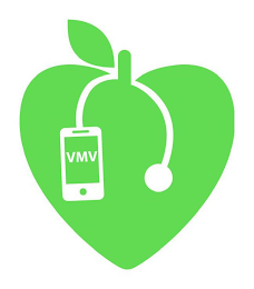 VMV logo