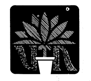 VN logo