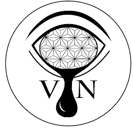VN logo