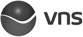 VNS logo