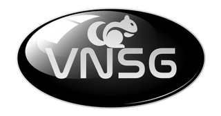 VNSG logo