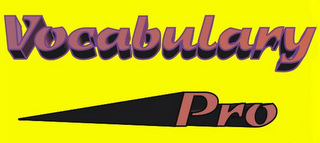 VOCABULARY PRO logo