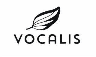 VOCALIS logo