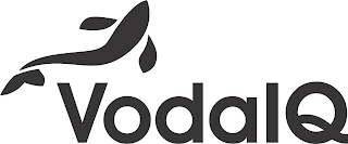 VODA IQ logo
