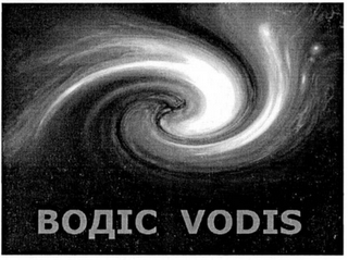 VODIS logo