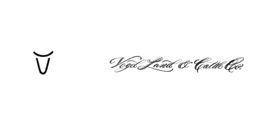 VOGEL LAND & CATTLE CO. logo