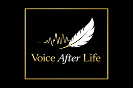 VOICE AFTER LIFE logo