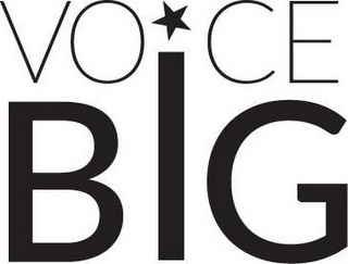 VOICE BIG logo