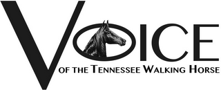 VOICE OF THE TENNESSEE WALKING HORSE logo