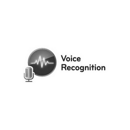 VOICE RECOGNITION logo