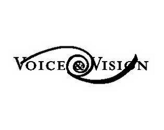 VOICE & VISION logo