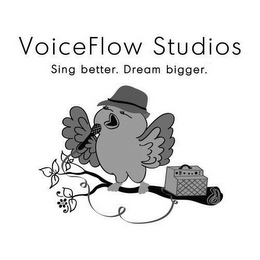 VOICEFLOW STUDIOS SING BETTER. DREAM BIGGER. logo