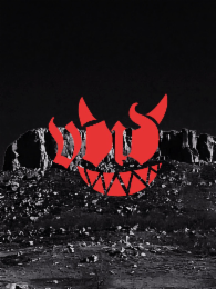 VOID logo