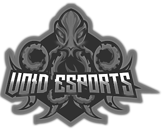 VOID ESPORTS logo